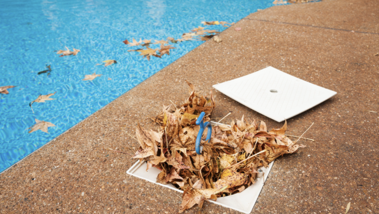Nettoyage de piscine en automne Colmar